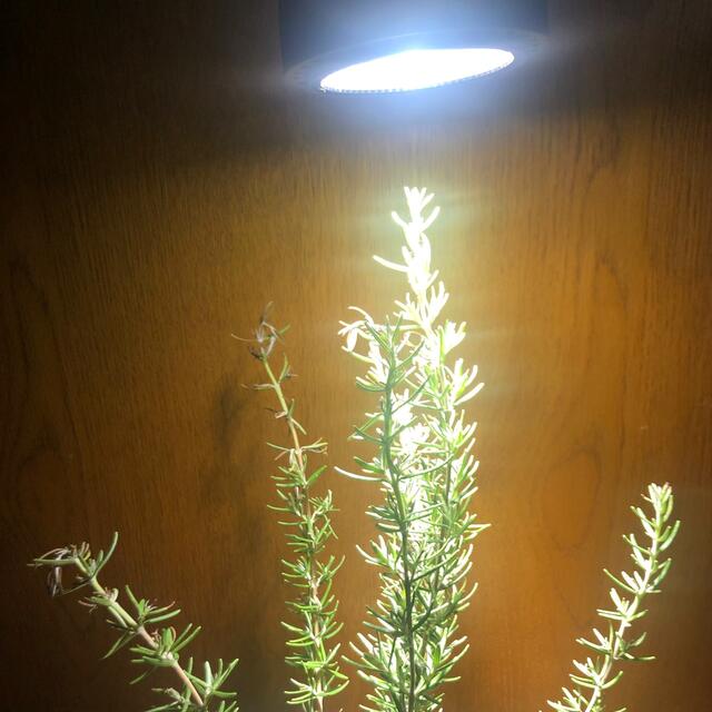 植物育成LEDライト30W 4000K フルスペクトル 2つセットの通販 by Sunny