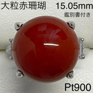 絶品　Pt900　天然大粒珊瑚リング　15.05mm　サイズ14.5号(リング(指輪))