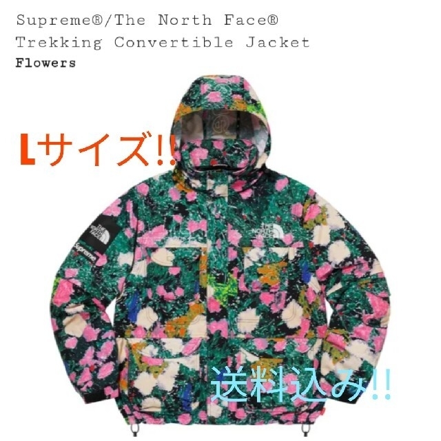 Supreme North Face Convertible Jacket L