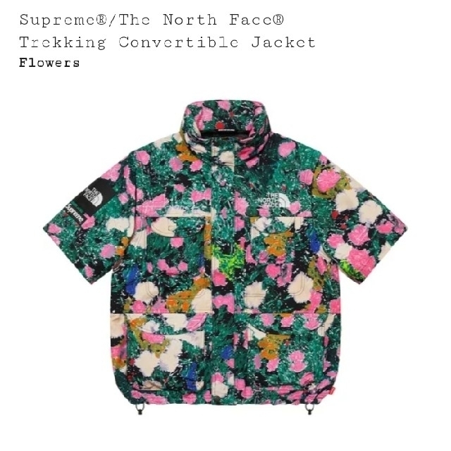 Supreme North Face Convertible Jacket L