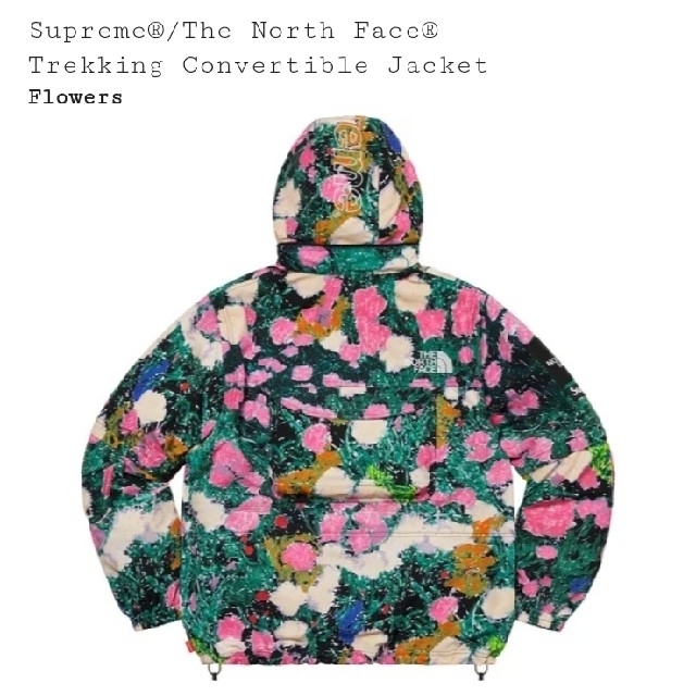 Supreme North Face Convertible Jacket L