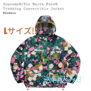 シュプリーム(Supreme)のSupreme North Face Convertible Jacket L(マウンテンパーカー)