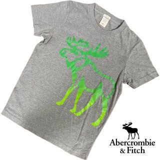 アバクロンビーアンドフィッチ(Abercrombie&Fitch)のAbercrombie&Fitch(アバクロ)メンズTシャツグレーMサイズ (Tシャツ/カットソー(半袖/袖なし))