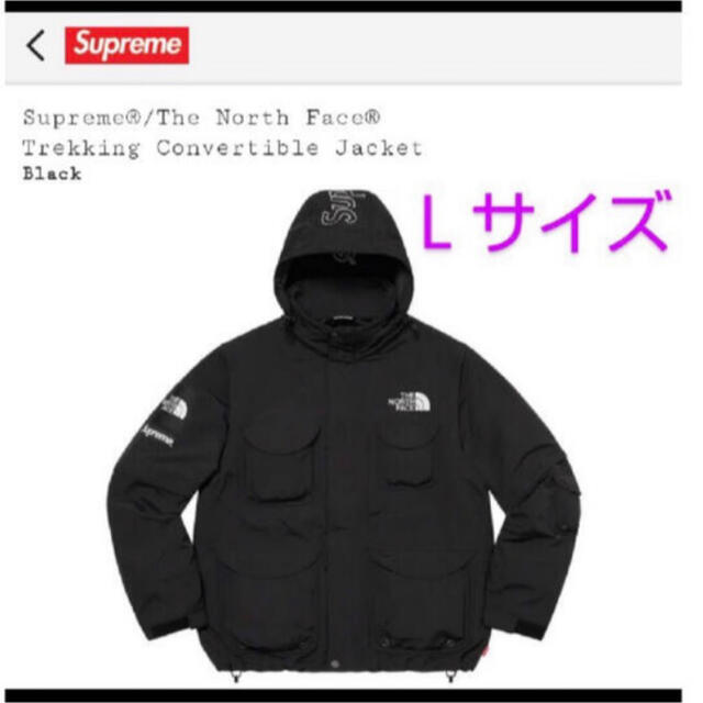 THE NORTH FACE - Supreme The North Face Trekking Jacket