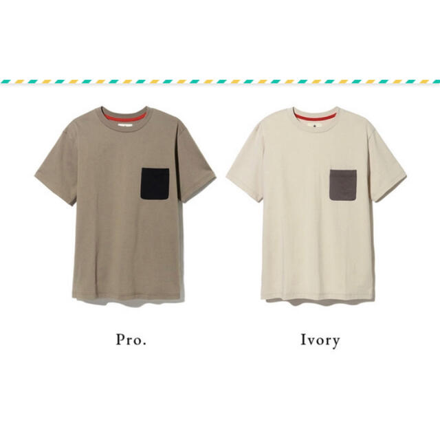 Snow Peak(スノーピーク)の＊スノーピーク＊ 希少 2020春 雪峰祭 Ｔシャツ M メンズのトップス(Tシャツ/カットソー(半袖/袖なし))の商品写真