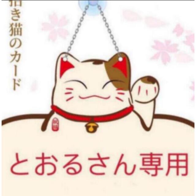 年末のプロモーション大特価! とおるさん専用15 その他 年末のプロモーション大特価! とおるさん専用15 その他