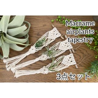 3個セット★流木マクラメエアープランツタペストリー★ナチュラルコットン(プランター)