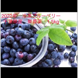 2022年　冷凍ブルーベリー　千葉県産　無農薬　1,5kg(フルーツ)