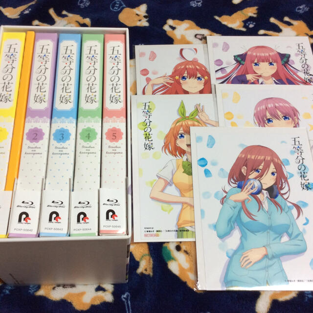 五等分の花嫁 1巻 Blu-ray  0巻付き