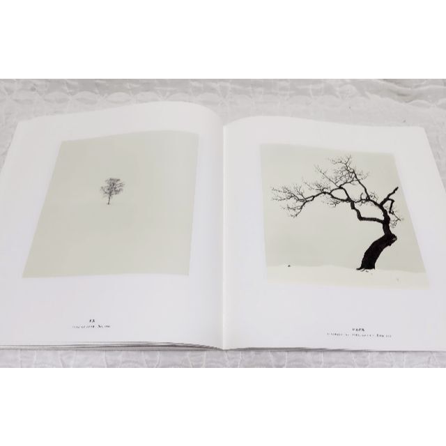【再値下げ】MICHAEL KENNA HOKKAIDO エンタメ/ホビーの本(アート/エンタメ)の商品写真