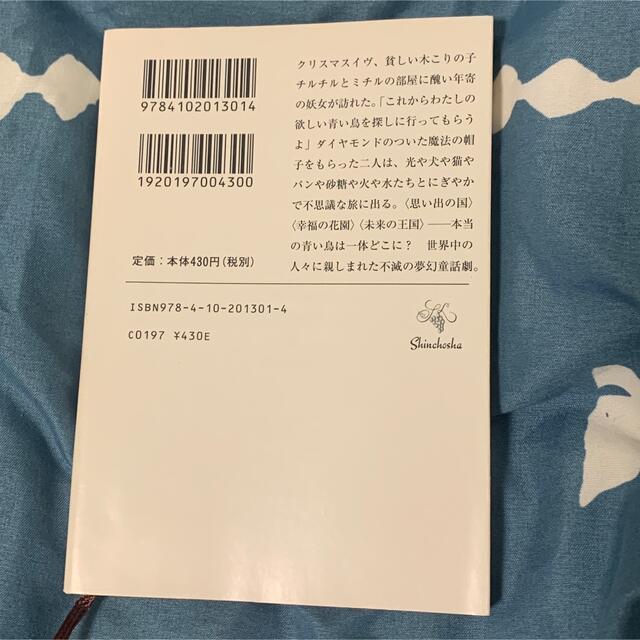 青い鳥 小説 エンタメ/ホビーの本(文学/小説)の商品写真