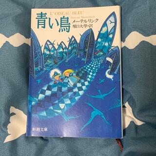 青い鳥 小説(文学/小説)