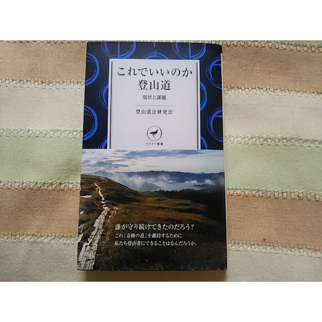 これでいいのか登山道　登山道法研究会　ヤマケイ新書 エンタメ/ホビーの本(趣味/スポーツ/実用)の商品写真