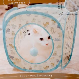 フランシュリッペ(franche lippee)のキャットハウス(猫)