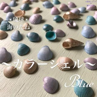 琉球*海のたね　カラーシェル ブルーセット(各種パーツ)