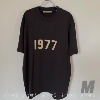 フィアオブゴッド(FEAR OF GOD)のFOG ESSENTIALS 1977ロゴTシャツ　Mサイズ(Tシャツ/カットソー(半袖/袖なし))