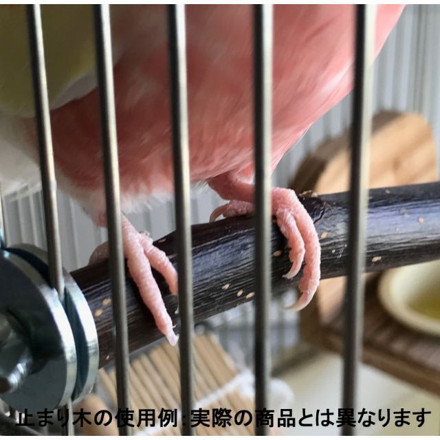 フルーツ止まり木　栗・さくらんぼ・梨・りんご　インコ、小鳥用 その他のペット用品(鳥)の商品写真