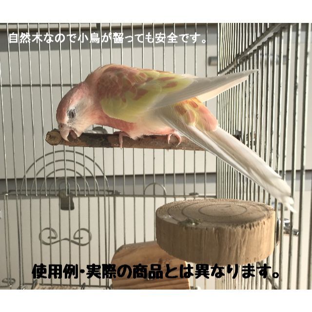 フルーツ止まり木　栗・さくらんぼ・梨・りんご　インコ、小鳥用 その他のペット用品(鳥)の商品写真