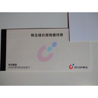 カワチ薬品 株主優待 5000円分(その他)