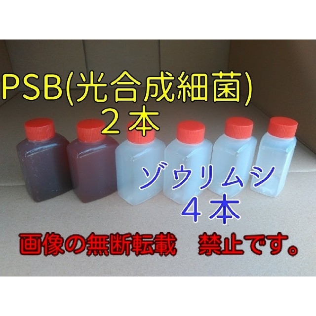 めだかの餌(２種類)　３３ml ×６本　#PSB #めだか#ミジンコ#針子#餌 その他のペット用品(ペットフード)の商品写真