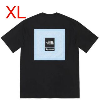 シュプリーム(Supreme)のSupreme The North Face Bandana Tee (Tシャツ/カットソー(半袖/袖なし))