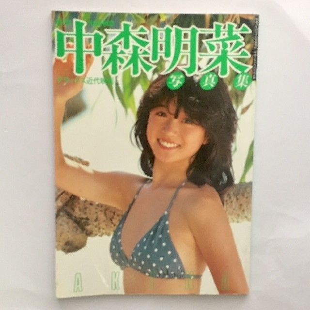 中森明菜写真集 エンタメ/ホビーのタレントグッズ(女性タレント)の商品写真