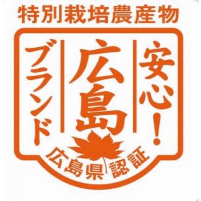 【訳あり】皮ごと安心！エビス農園の無人島育ちオーガニックレモン 食品/飲料/酒の食品(フルーツ)の商品写真