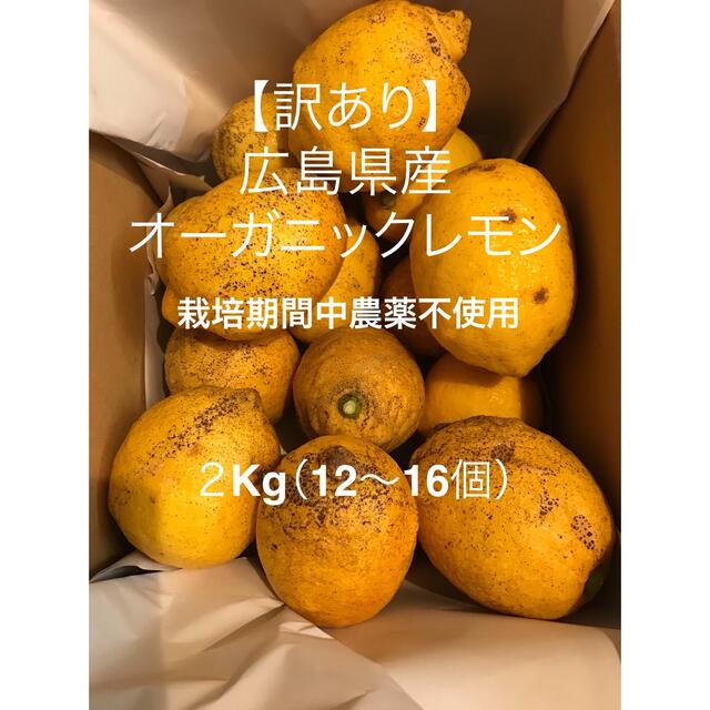 【訳あり】皮ごと安心！エビス農園の無人島育ちオーガニックレモン 食品/飲料/酒の食品(フルーツ)の商品写真