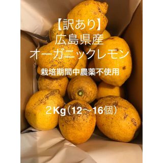 【訳あり】皮ごと安心！エビス農園の無人島育ちオーガニックレモン(フルーツ)