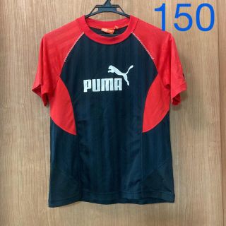 プーマ(PUMA)のPUMA プーマ Tシャツ　半袖　男の子　150(Tシャツ/カットソー)