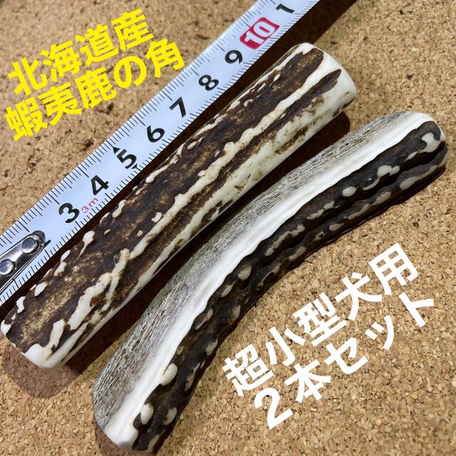 鹿の角　犬のおもちゃ　北海道産　　　　　　　　　　　　　超小型犬用　2本セット その他のペット用品(犬)の商品写真