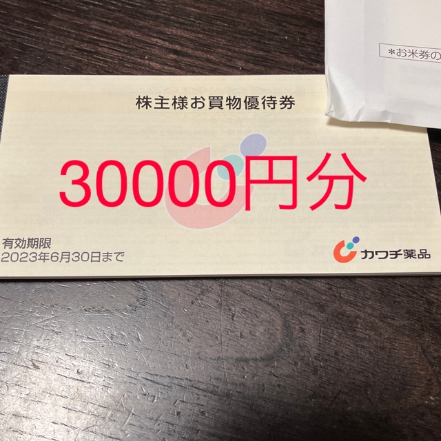 カワチ薬品株主優待　30000円優待券/割引券