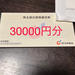カワチ薬品株主優待　30000円(ショッピング)