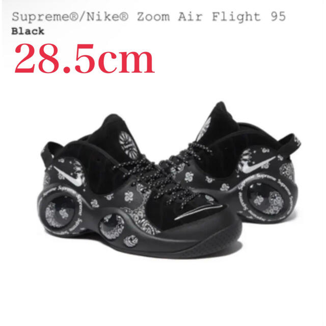 Supreme Nike  Zoom Air Flight 95  28.5