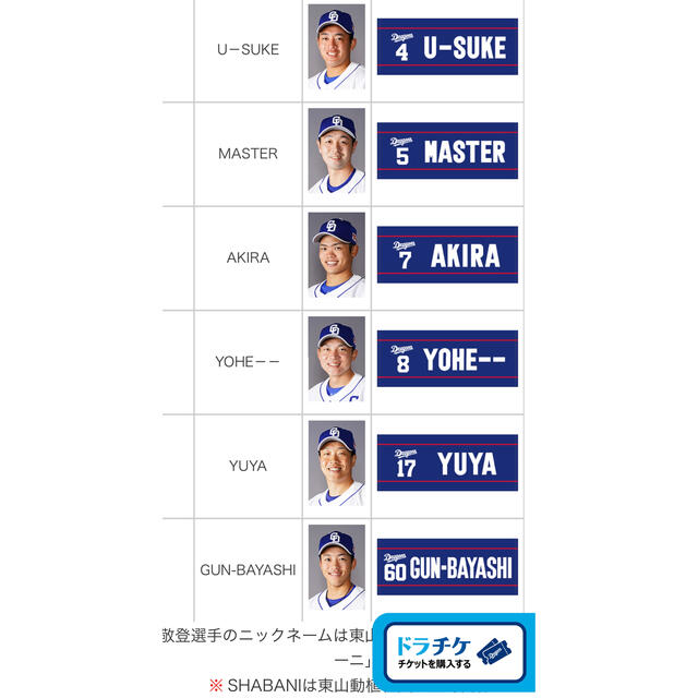 中日ドラゴンズ 阿部寿樹 FCニックネームタオル