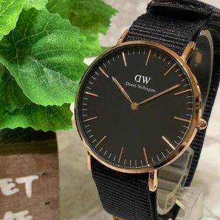 537 DANIEL WELLINGTON ダニエルウエリントン レディース