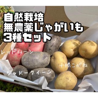 自然栽培.無農薬じゃがいも3種セットレッドムーン　シャドークイーン　十勝こがね(野菜)