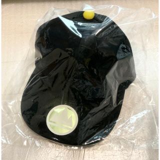 ポケモン - チャンピオンダンデのキャップ タグ付き新品 帽子 ポケモン