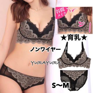 脇高育乳★バイカラーシックレースブラジャー＆ショーツ、新品未使用タグ付き(ブラ&ショーツセット)