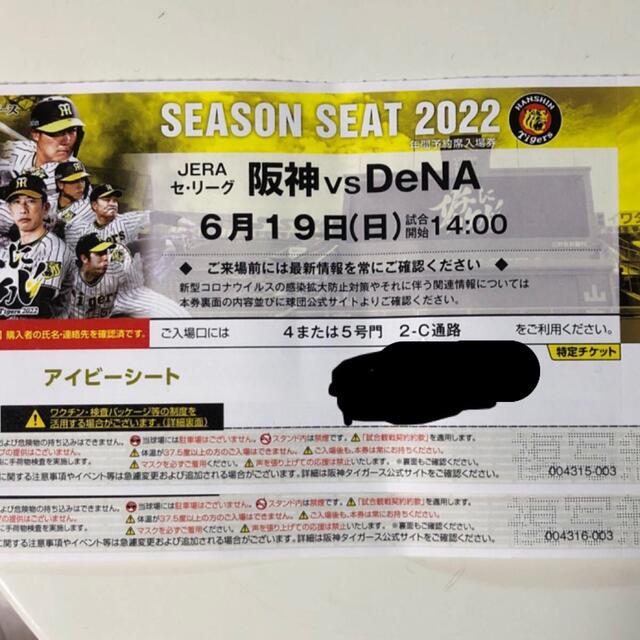 現地手渡し　阪神　甲子園　6/19  アイビー　通路側　ペア