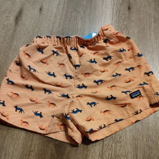 パタゴニア(patagonia)のパタゴニア　ショートパンツ(パンツ/スパッツ)