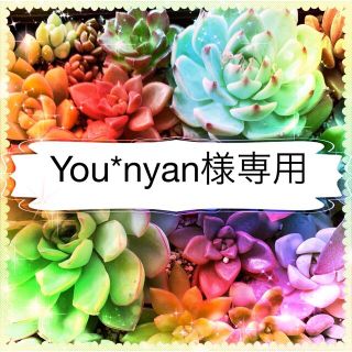 You＊nyan様専用(その他)