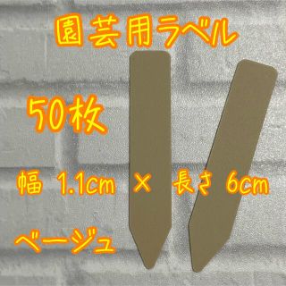 ベージュ　ガーデニング 多肉植物に☺︎ 園芸用ラベル ネームラベル 50枚(その他)