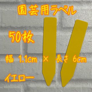 イエロー　ガーデニング 多肉植物に☺︎ 園芸用ラベル ネームラベル 50枚(その他)