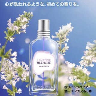 ロクシタン(L'OCCITANE)のロクシタン オードトワレ ホワイトラベンダー(香水(女性用))