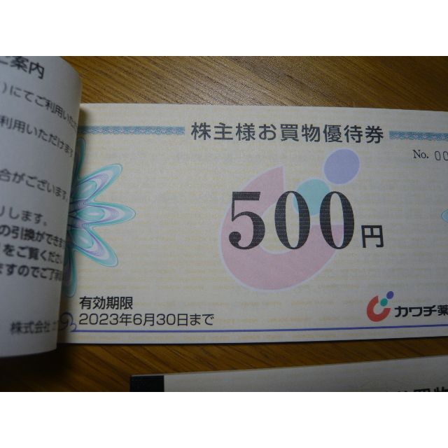 【最新】カワチ薬品 株主優待 10000円 チケットの優待券/割引券(ショッピング)の商品写真