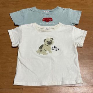 シマムラ(しまむら)のTシャツ　90(Tシャツ/カットソー)