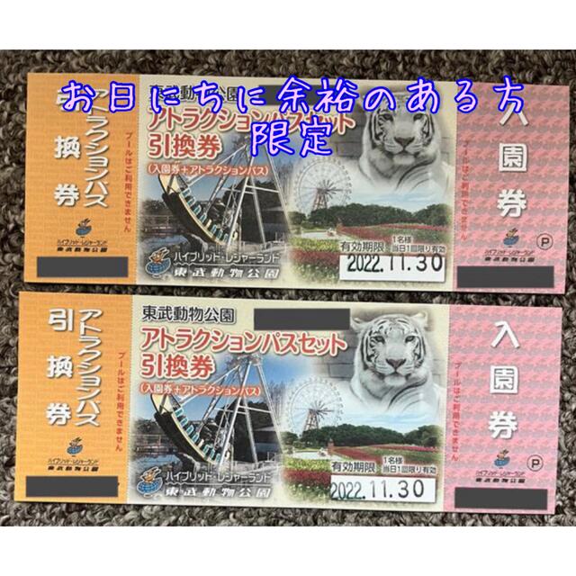 東武動物公園 フリーパス 大人2枚小人2枚 - 施設利用券 東武動物公園 フリーパス 大人2枚小人2枚 - 施設利用券