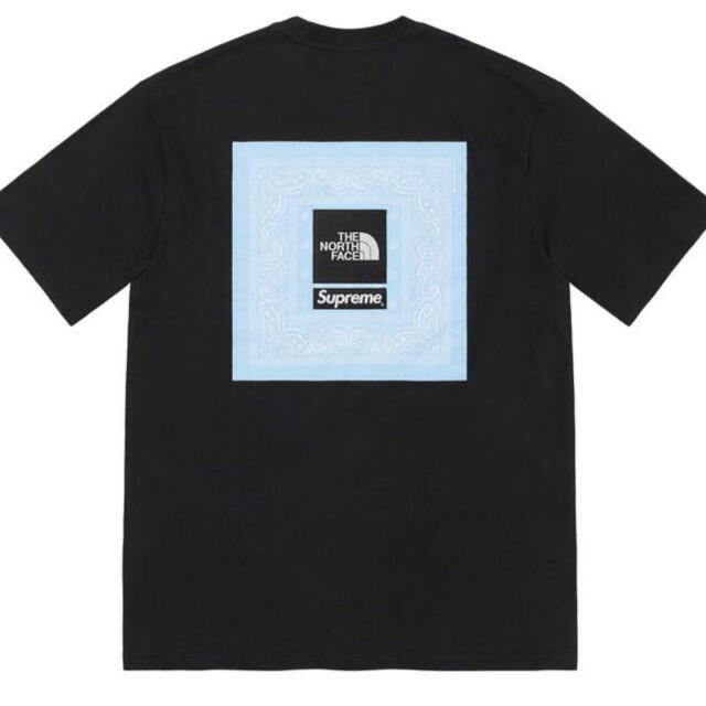 Supreme(シュプリーム)のM Supreme / The North Face Bandana Tee  メンズのトップス(Tシャツ/カットソー(半袖/袖なし))の商品写真