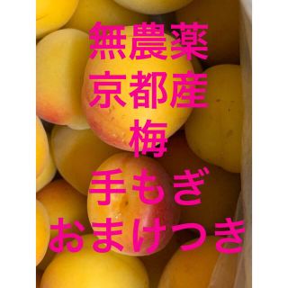 おまけ　松葉　柿葉付　無農薬　京都産　手もぎ　樹熟　黄梅　梅仕事　梅煮　梅ジャム(フルーツ)